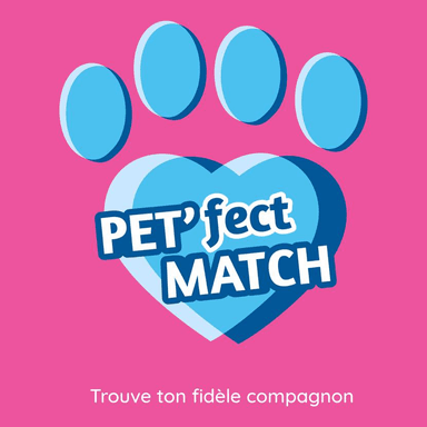 Pet'fect Match